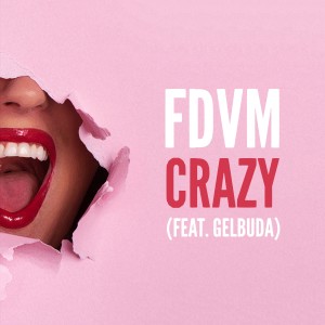 收听FDVM的Crazy (Explicit)歌词歌曲