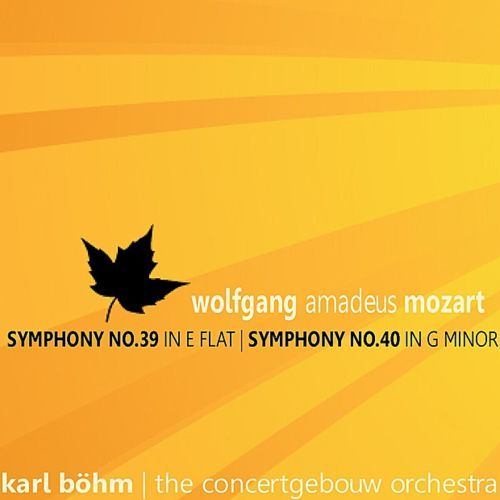 Symphony No. 40 in G Minor, K. 550: II. Andante