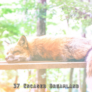 Relaxing Music For Sleeping的專輯37 Encased Dreamland