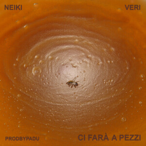 Listen to ci farà a pezzi song with lyrics from Neiki