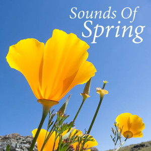 ดาวน์โหลดและฟังเพลง Turkey In The Straw พร้อมเนื้อเพลงจาก Union Hall Showtime Band