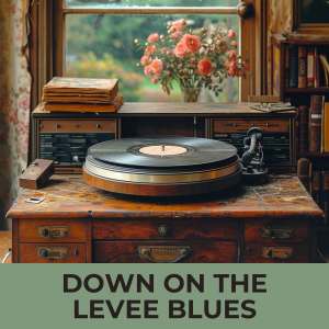 Various Artists的專輯Down On the Levee Blues