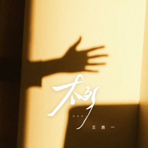 收聽王嘉一的太多歌詞歌曲