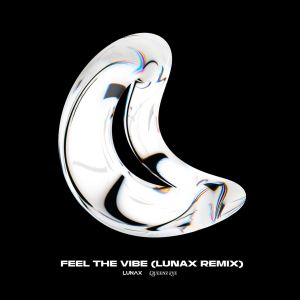 Listen to Feel the Vibe (LUNAX Remix) song with lyrics from Queenz Eye