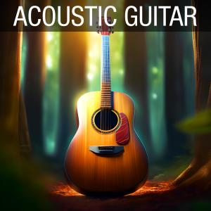 Acoustic Guitar的專輯Light Pop