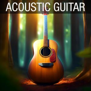 收聽Acoustic Guitar的Celestial Vibes歌詞歌曲