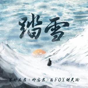 收聽鄧寓君(等甚麼君)的踏雪 (DJ沈念版)歌詞歌曲