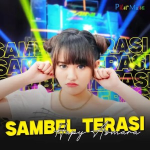 Happy Asmara的专辑DJ SAMBEL TERASI STYLE PARGOY BASS NGUKK