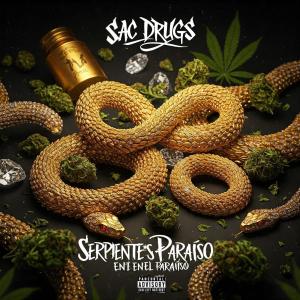 收聽Sac Drugs的Caras millonarias (feat. JOSTIN CAPEA) (Explicit)歌詞歌曲