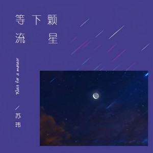 收聽蘇瑋的等下顆流星 (完整版)歌詞歌曲