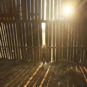elijah woods的專輯Sunlight!