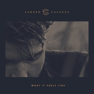 ดาวน์โหลดและฟังเพลง What It Feels Like พร้อมเนื้อเพลงจาก Sandro Cavazza