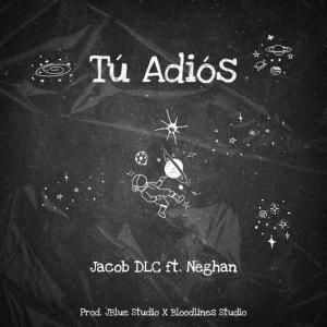 Album Tu Adiós (feat. NEGHAN) from Jacob DLC