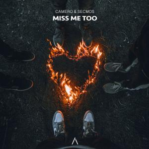 Miss Me Too (Instrumental) dari Camero