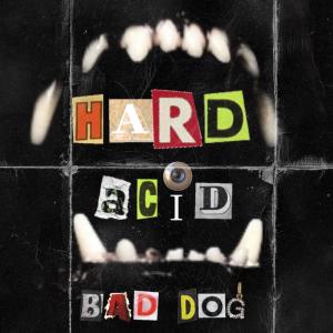 ดาวน์โหลดและฟังเพลง Hard Acid พร้อมเนื้อเพลงจาก Bad Dog