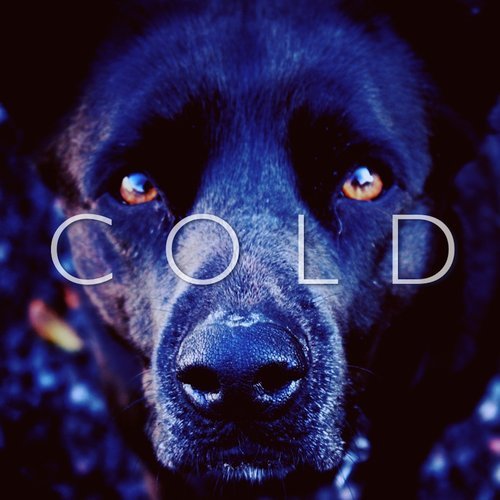 Cold