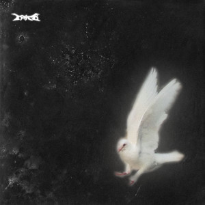 Album birds from 