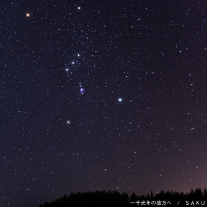 Album A thousand light years away from Saku