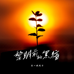 Album 黎明前的黑暗 from 来一碗老于