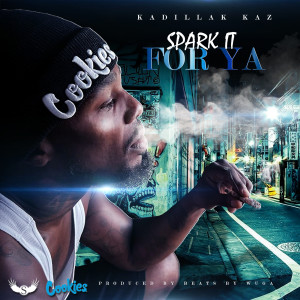 Kadillak Kaz的專輯Spark It For Ya (Explicit)