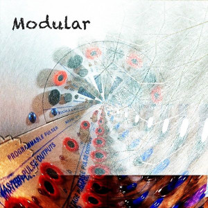 Lyonel Bauchet的专辑Modular
