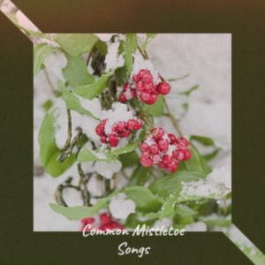 收聽Becky Lee Beck的I Want a Beatle for Christmas歌詞歌曲