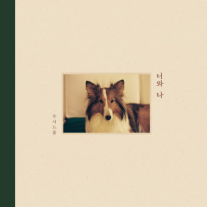ดาวน์โหลดและฟังเพลง Indecipherable book พร้อมเนื้อเพลงจาก Lucid Fall