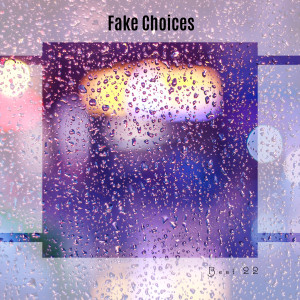 Various的专辑Fake Choices Best 22