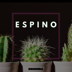 ดาวน์โหลดและฟังเพลง Espino (Explicit) พร้อมเนื้อเพลงจาก Kevin Uriel Casasola López