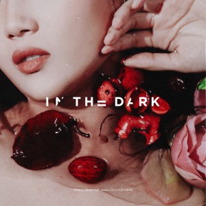 收聽Seasons for Change的In the Dark歌詞歌曲