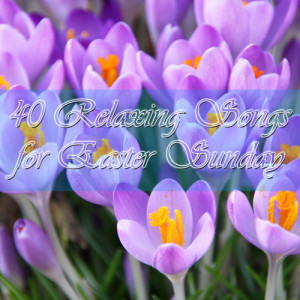 ดาวน์โหลดและฟังเพลง Amazing Grace พร้อมเนื้อเพลงจาก Christian Music Experts