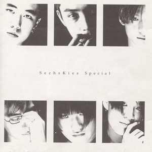 Dengarkan While You're Sleeping lagu dari Sechs Kies dengan lirik