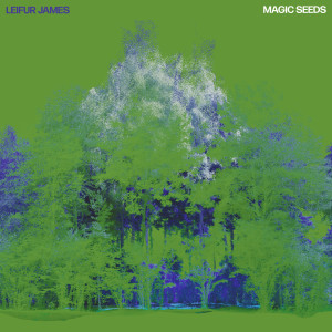 Leifur James的專輯Magic Seeds