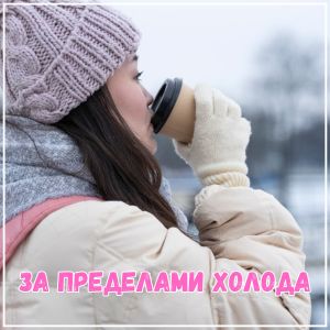 Album За пределами холода from 