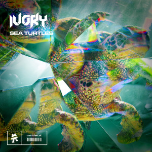 ดาวน์โหลดและฟังเพลง Sea Turtles พร้อมเนื้อเพลงจาก IVORY