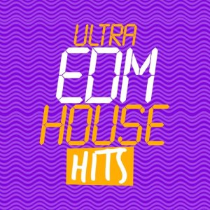 收聽EDM House Hits的Dong歌詞歌曲