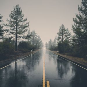 收听Sleep Sounds of Nature的Fresh Morning Shower歌词歌曲