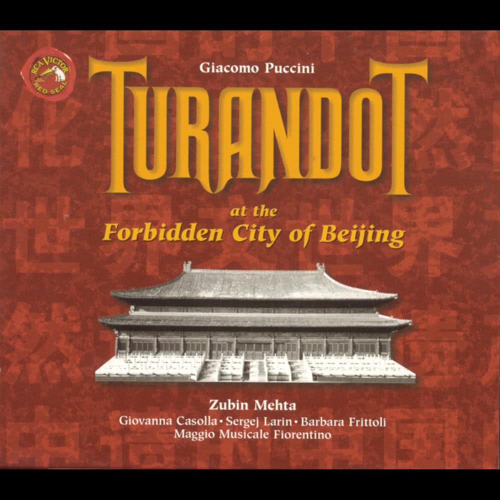 Turandot: Act One: Fermo! Che fai?