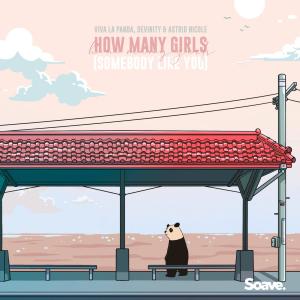 Album How Many Girls (Somebody Like You) from 