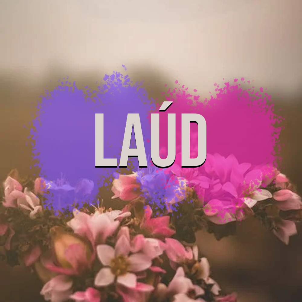 Laúd