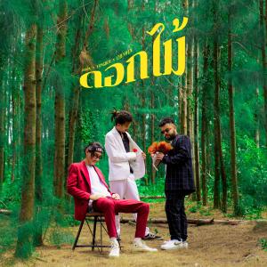 Listen to ดอกไม้ song with lyrics from Jonin