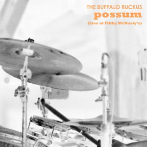Listen to Possum (Live at Filthy McNasty's) song with lyrics from The Buffalo Ruckus