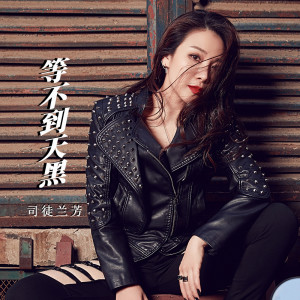 อัลบัม 等不到天黑 ศิลปิน 司徒兰芳