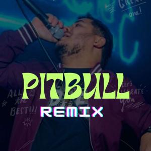 收聽DJ JEFFERSON PEREIRA的PITBULL (Oh Polemico Remix|Explicit)歌詞歌曲