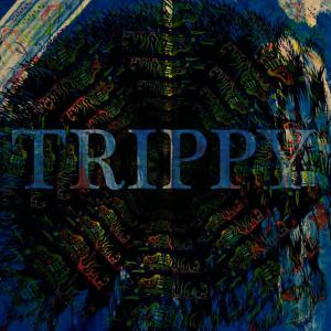 ดาวน์โหลดและฟังเพลง Trippy (Explicit) พร้อมเนื้อเพลงจาก Eli Cannon