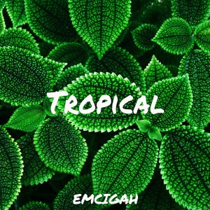 收聽Emcigah的Tropical歌詞歌曲