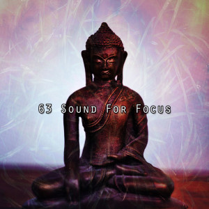 Album 63 Sound For Focus from Zen Meditate