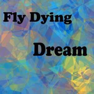 อัลบัม Dream ศิลปิน Fly Dying