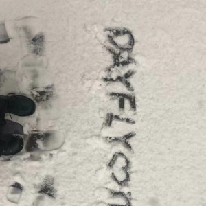Album 雪爱 Pure Snow from Dayfly
