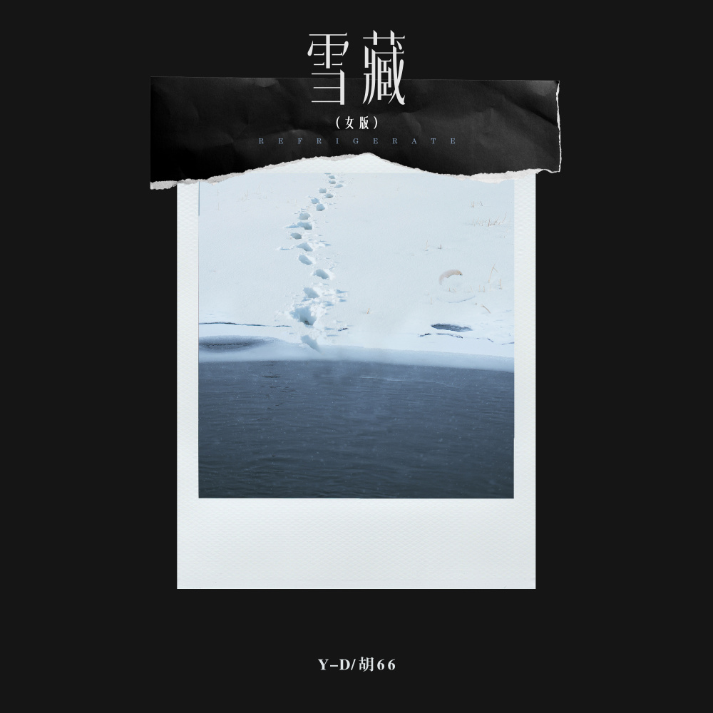 雪藏 (勇敢版)